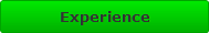 Experience