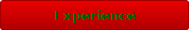 Experience